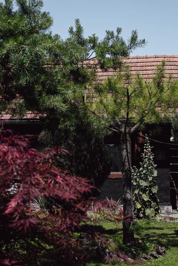 House For Rest Juliet Apartment Velika Gorica Bagian luar foto