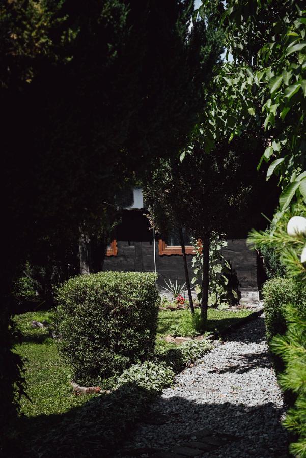 House For Rest Juliet Apartment Velika Gorica Bagian luar foto