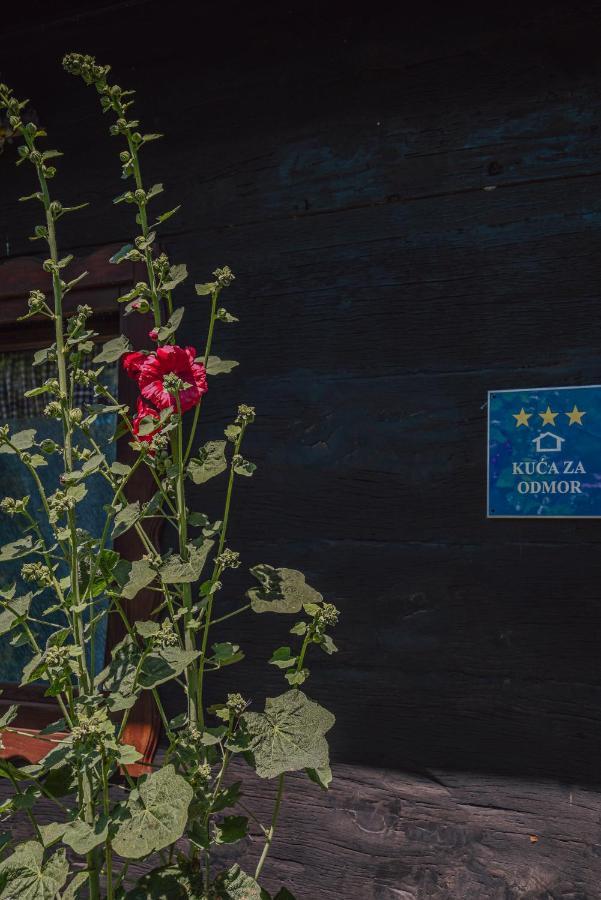 House For Rest Juliet Apartment Velika Gorica Bagian luar foto