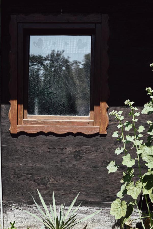 House For Rest Juliet Apartment Velika Gorica Bagian luar foto